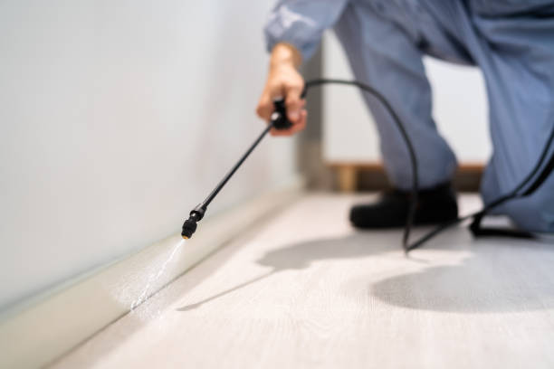Licensed Pest Control service in Rocky Mount, VA - Show Me Pest Control