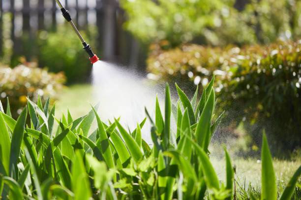 24/7 Emergency Ant Control experts in Rocky Mount, VA